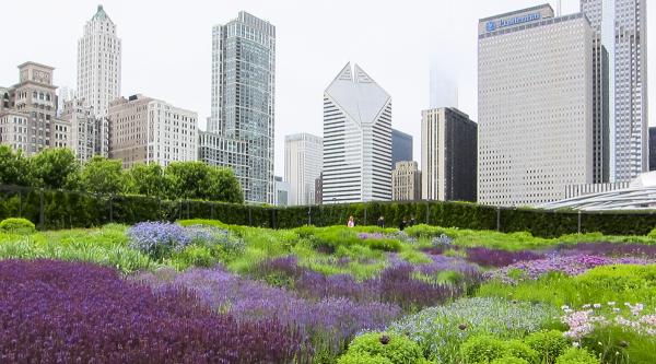 Lurie Garden