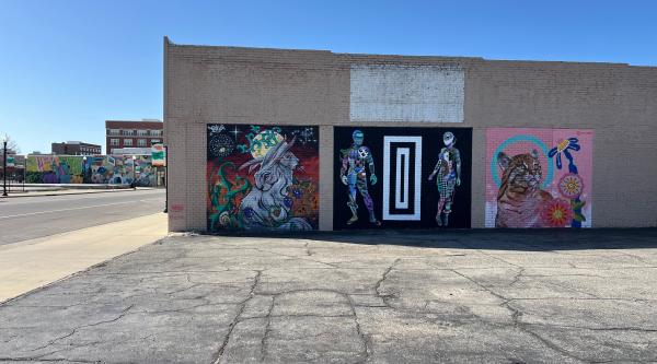The Wild Moon & Bobcat Mural Wall