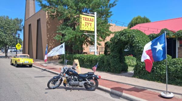 Texas Ivy Antiques