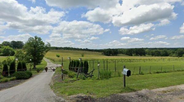 Belmont Vineyards