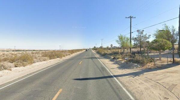 Elmer's Bottle Tree Ranch