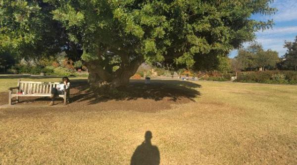 Los Angeles County Arboretum