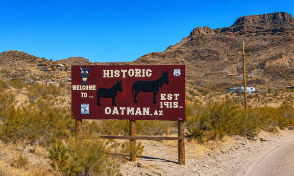 Historic Oatman Sign