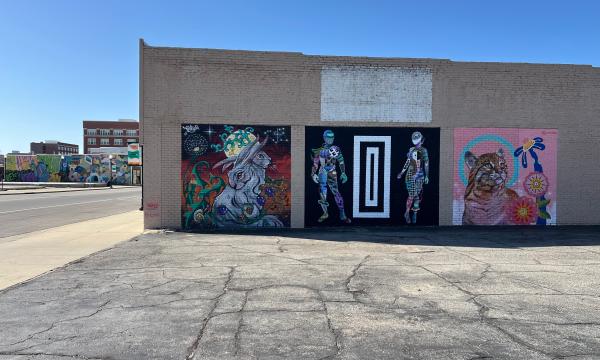 The Wild Moon & Bobcat Mural Wall