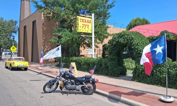 Texas Ivy Antiques
