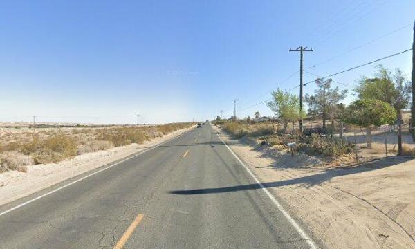 Elmer's Bottle Tree Ranch