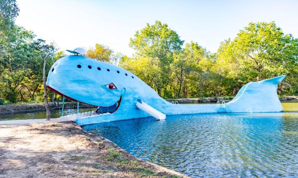 Blue Whale