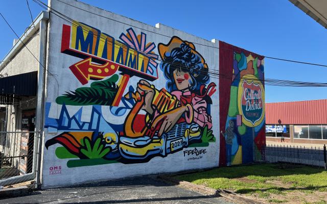 Feedee Cultural District Mural