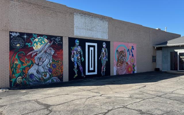 The Wild Moon & Bobcat Mural Wall