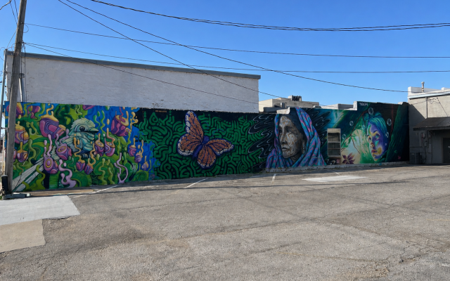 Downtown Miami Collective Mural Wall