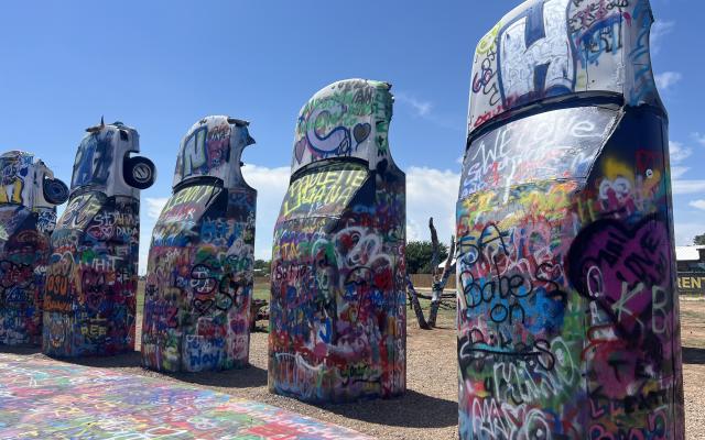 VW Slug Bug Ranch