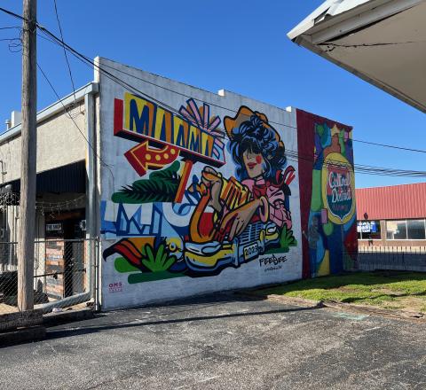 Feedee Cultural District Mural