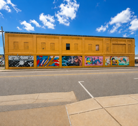Eclectic Alley Mural Panels