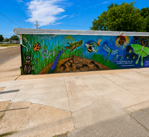 Bugs Mural