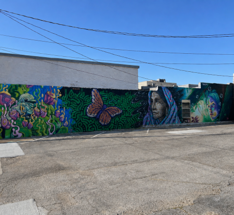 Downtown Miami Collective Mural Wall