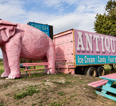 Pink Elephant Antique Mall