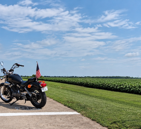 Turkey Tracks on Route 66