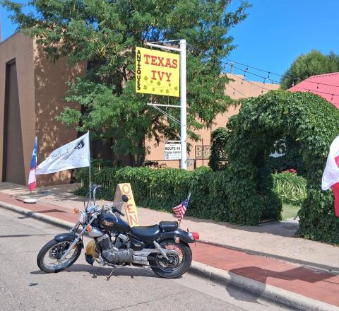 Texas Ivy Antiques