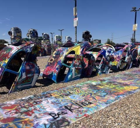 VW Slug Bug Ranch