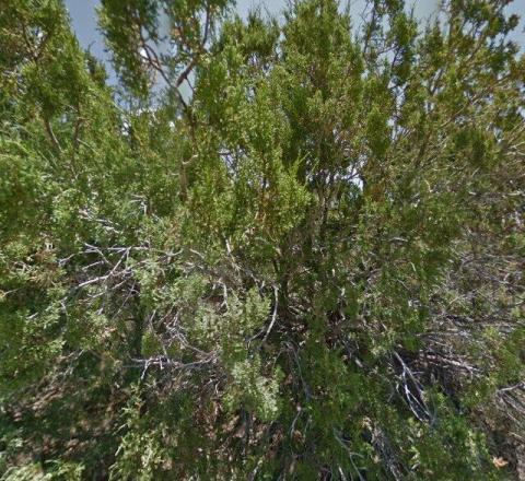 Pecos National Monument Marker