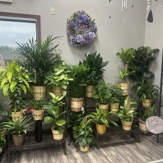 Lucille’s Flowers & Gifts