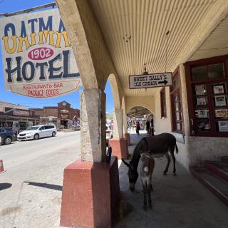 Oatman Hotel Restaurant & Bar