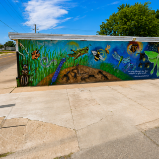 Bugs Mural