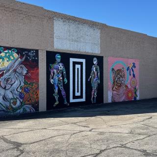 The Wild Moon & Bobcat Mural Wall