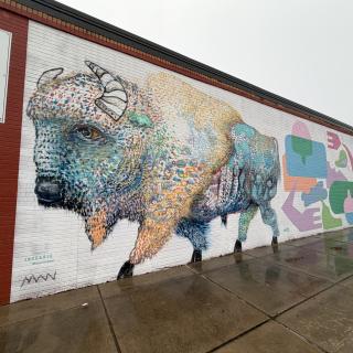 INTEGRIS Health Collective Mural Wall