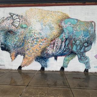 INTEGRIS Health Collective Mural Wall