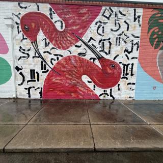 INTEGRIS Health Collective Mural Wall
