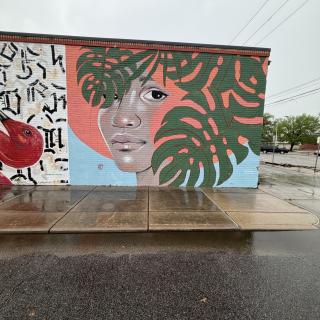 INTEGRIS Health Collective Mural Wall