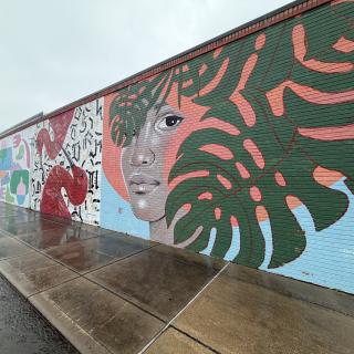 INTEGRIS Health Collective Mural Wall