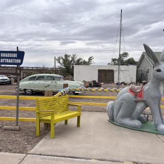 Jack Rabbit Trading Post
