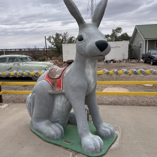 Jack Rabbit Trading Post