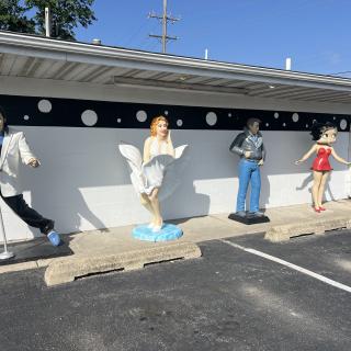 Polk-A-Dot Drive In