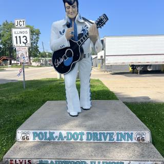 Polk-A-Dot Drive In