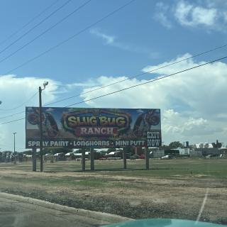 VW Slug Bug Ranch