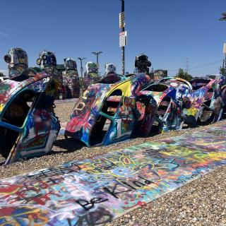 VW Slug Bug Ranch