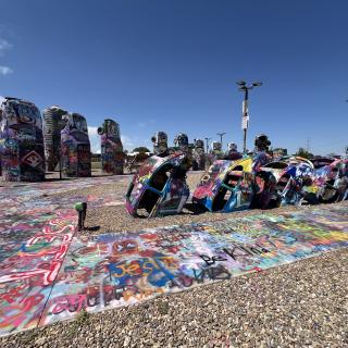 VW Slug Bug Ranch