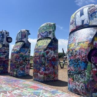 VW Slug Bug Ranch